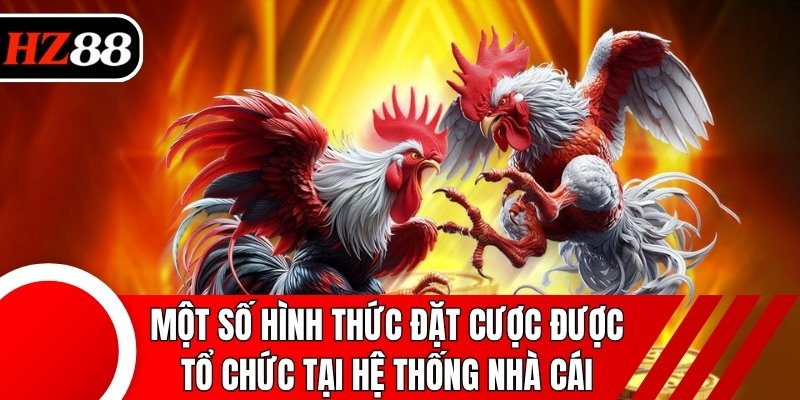 Một số hình thức đặt cược được tổ chức tại hệ thống nhà cái